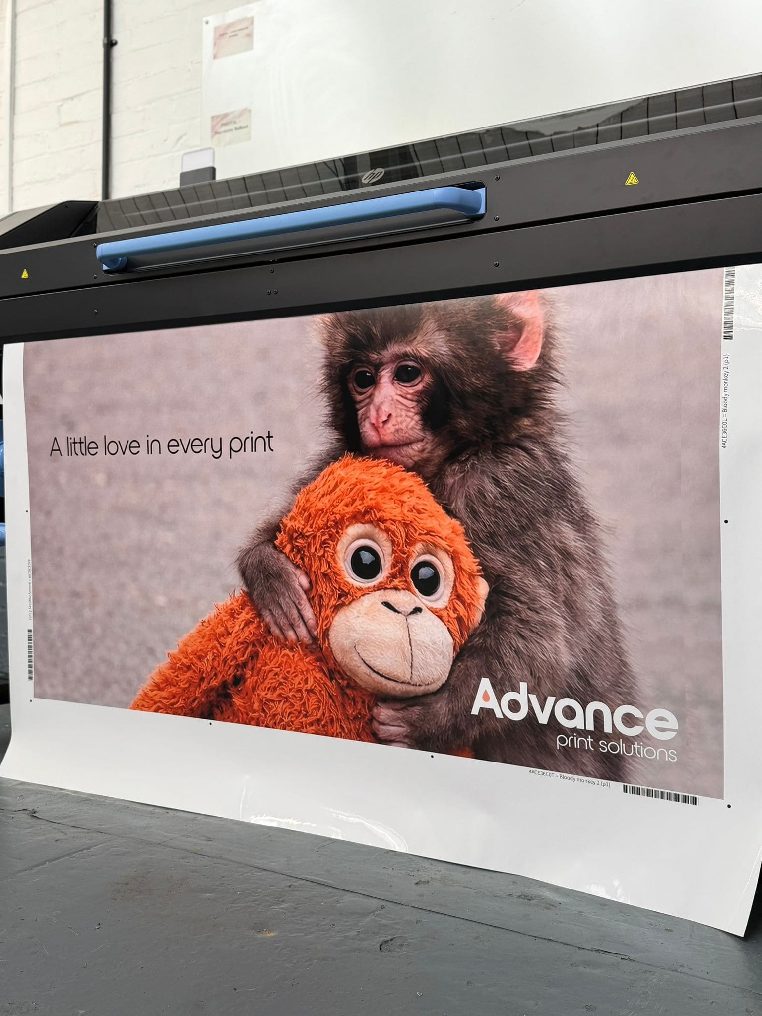 First print coming off the HP Latex 830W at Advance Print Solutions